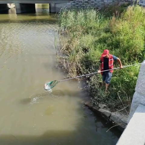 中秋佳节：潭头镇河道专管员默默守护，保河畅安