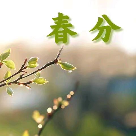 春分至，万物生 拥抱春日的温柔序章 ——库尔勒市第十五中学开展春分竖蛋活动
