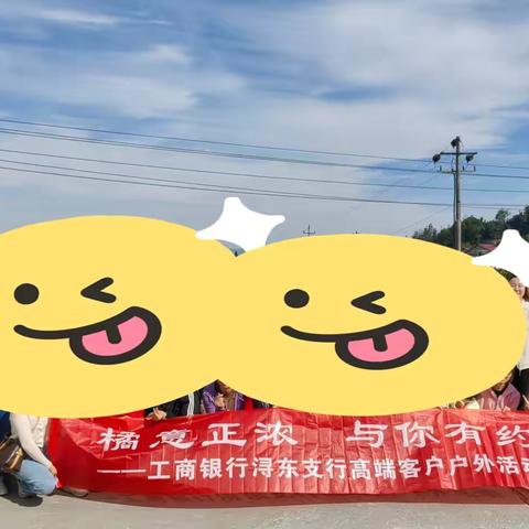 橘意正浓 与你有约——浔东支行开展高端客户户外采摘活动