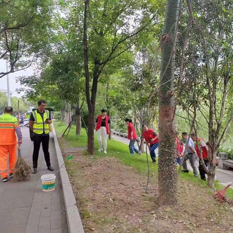 【台江区上海街道】你我同行—上海街道常态化开展“护河爱水 清洁家园”行动