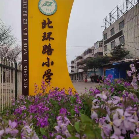 初冬不觉寒，校园斜阳暖——殷都区水冶镇北环路小学六（2）班礼仪值周风采