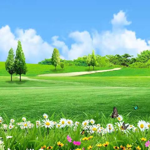 春风化雨润课堂 专业视导促提升——德惠市布海镇中心小学迎接教师进修学校专项检查