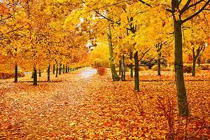 🌿 聚焦教学评，共研促成长｜德惠市布海镇中心小学观摩课展示活动纪实 ——2025年秋·教学教研的盛宴