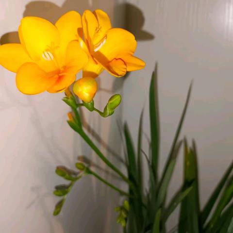 自然之美的多彩画卷