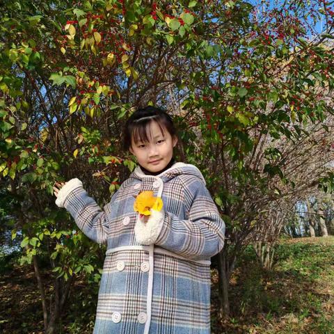 星光闪耀 榜样引领——台臣小学“星级少年”风采展示（十二）