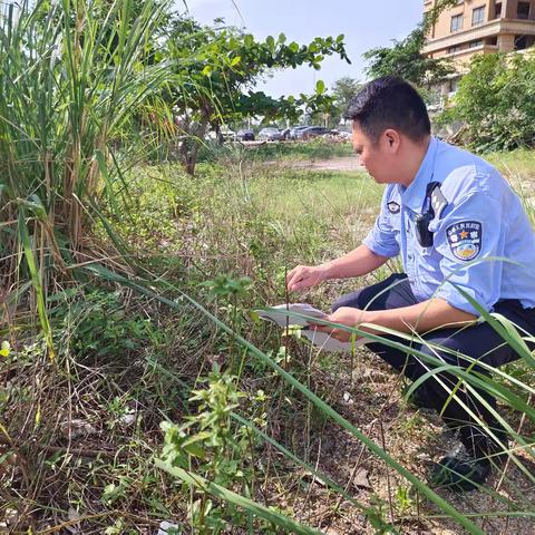 秀中社区开展禁种铲毒踏查工作
