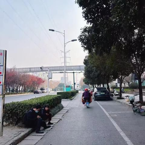 【高新细柳】暖心守护！细柳网格员巡查遇事故 高效处置显担当