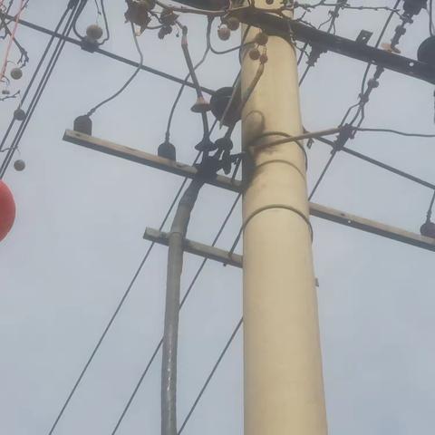 路灯服务中心紧急处置路灯变压器高压线缆故障