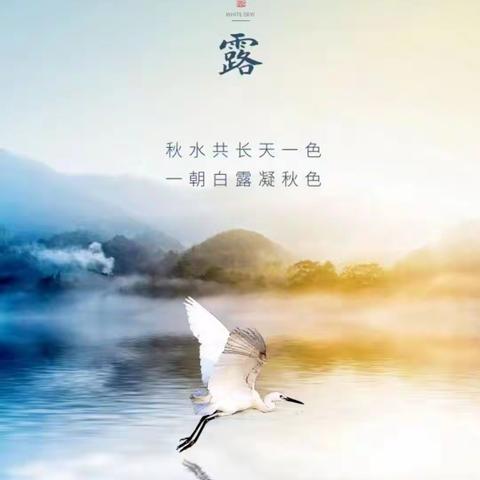 白露至，秋实美——市中幼 大二班白露节气主题活动