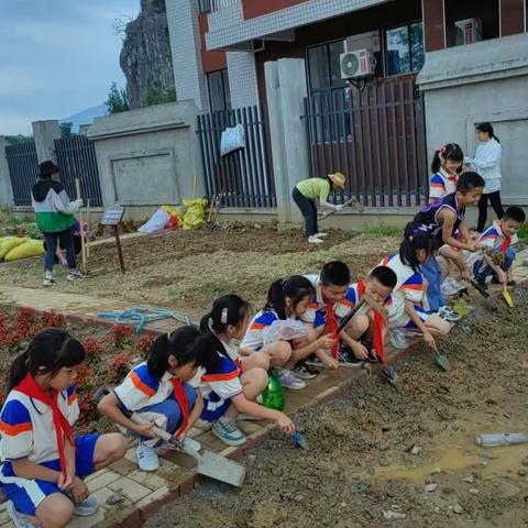 悦劳动  悦成长----桂林市辰山小学20级1班劳动实践课