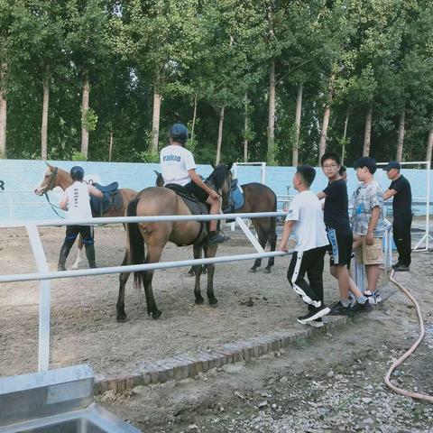 香河飞腾（京东野骑）马术俱乐部周反馈