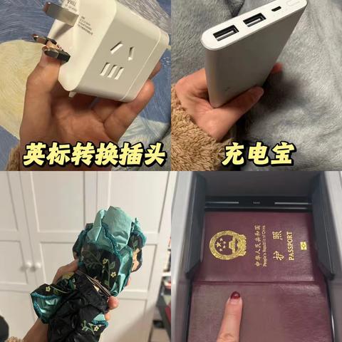 去新加坡物品清单（仅供参考）