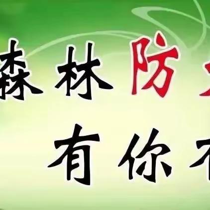 森林防火 有你有我——岭西村学校开展森林防火宣传教育系列活动