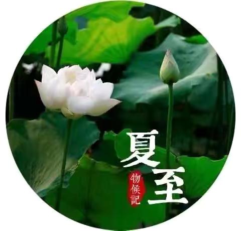 玩转夏至  如约而至——区四幼“名校 ”共同体节气教育活动