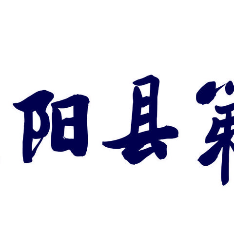 赴“和美之约”   赏“数学之美”——濮阳县第九小学2024年“和美课堂”数学观摩研讨会