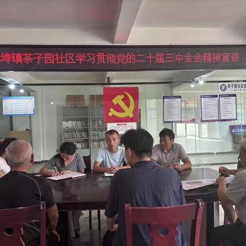 开展学习贯彻党的二十届三中全会精神宣讲活动