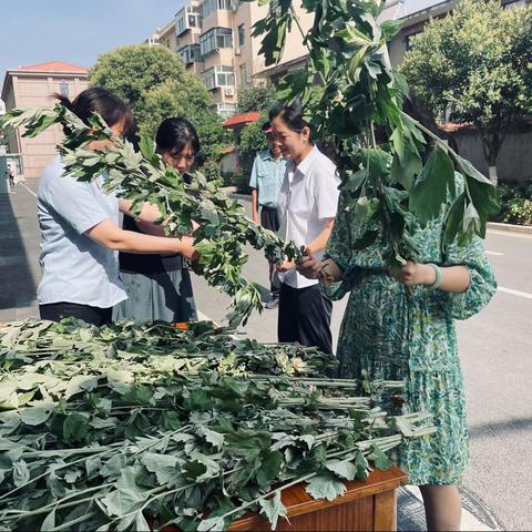 【艾叶飘香  浓情端午】—中土物业山东政协项目开展为业主送艾草活动