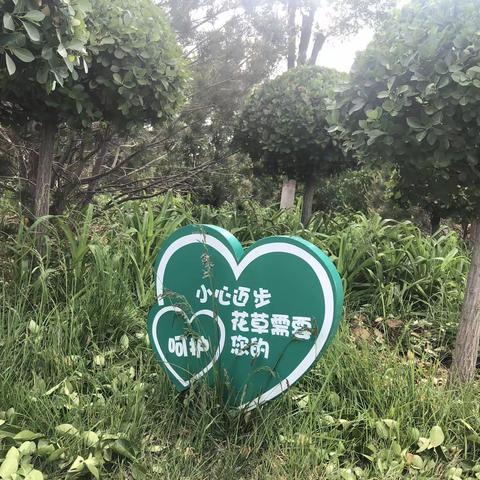爱护环境！人人有责！（代堡学校！五一班冯佳琪！）