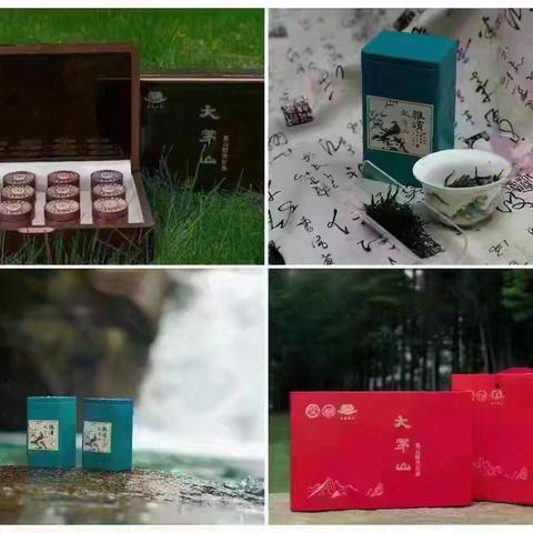 大茅山景区一周工作纪实（2026.3.2——2026.3.8）