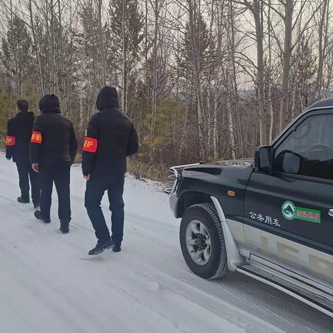 图强林业局奋斗林场 加强流动巡护 守护绿水青山