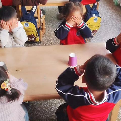 滨河第二小学附属幼儿园 ﻿苗苗班