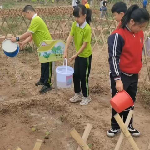 【劳动研学】“小小菜农”学种菜播种希望伴成长——海区五小四年级（7）班劳动实践教育活动（二）