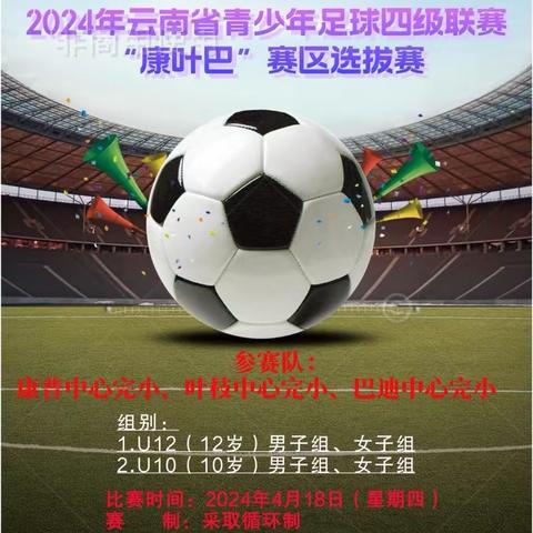 2024年维西县青少年足球四级联赛“康叶巴”赛区选拔赛