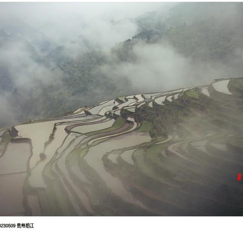 加榜梯田云上来