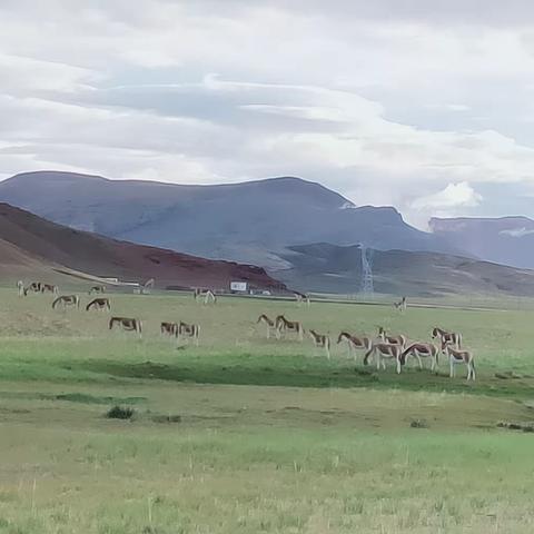 我的家乡