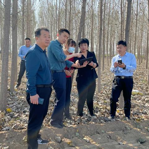 市自然资源和规划局到章丘区调研督导耕地保护工作