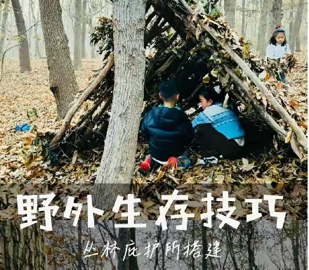大地低语·冬耕探秘