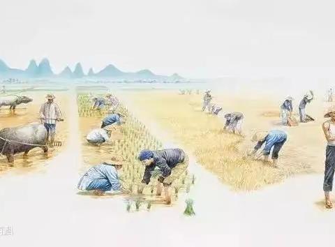节气之美·芒种