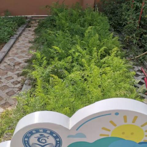 城西中学生物特色课堂：探索自然与生活的实践之旅