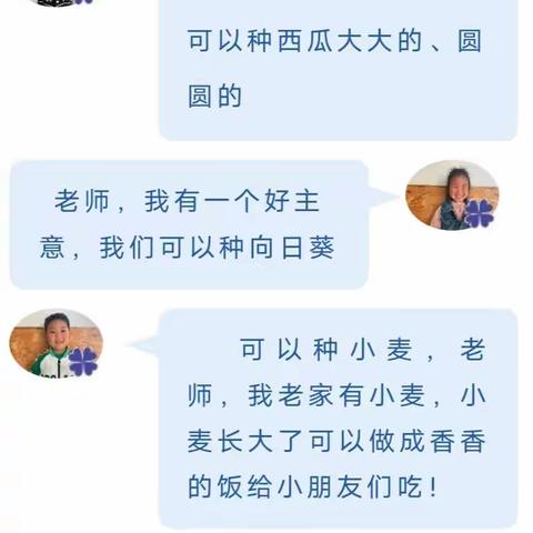 【生成活动】小麦成长记——小班