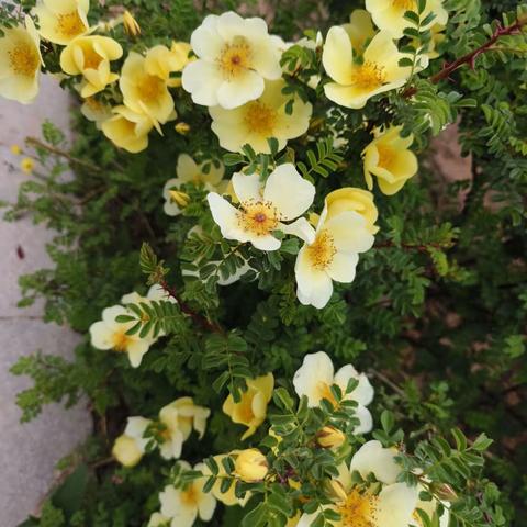 劳动使我们骄傲