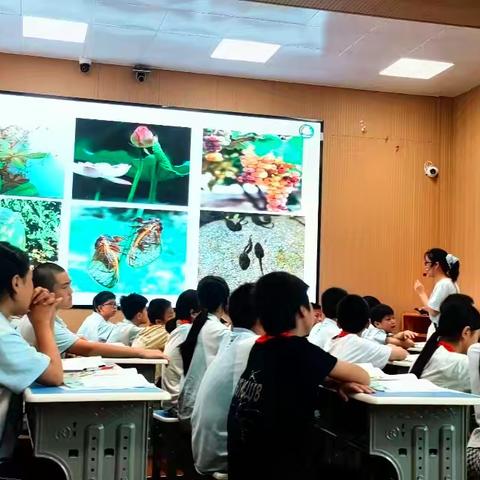 【聚焦文本解读 寻找写作秘钥】——县课题“”小学语文核心素养下阅读教学中读写融合的实践研究”专题研讨活动