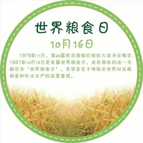 【和合四十·少先队】“节约粮食，光盘我们在行动”——临沂第四十中学小学部主题升旗仪式