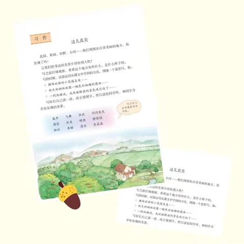 三年级的小作家——《这儿真美》