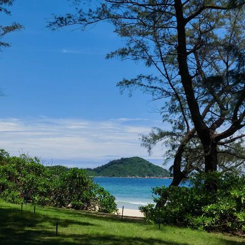 朝阳海岸物业服务中心5月份服务动态