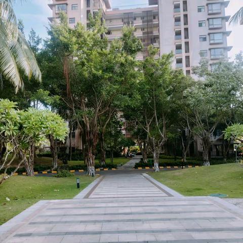 朝阳海岸物业服务中心7月份服务动态