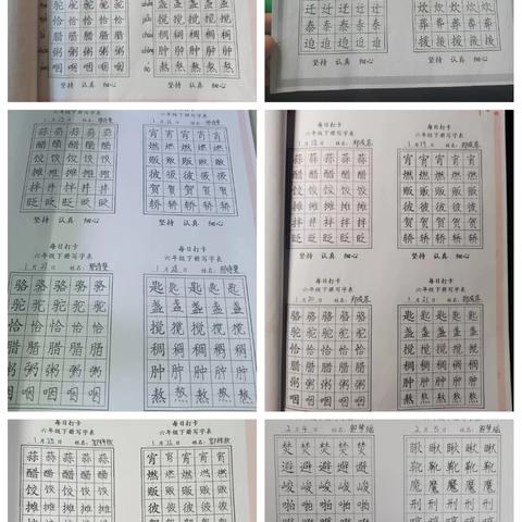 灵蛇起舞迎新春，衔慧启智过寒假——林州市桂园学校六年级寒假特色作业展示