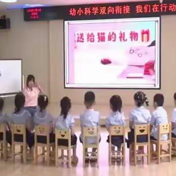 幼小双向科学衔接，凸显园本特色发展——沧州网络研修会客厅第62次主题研修活动