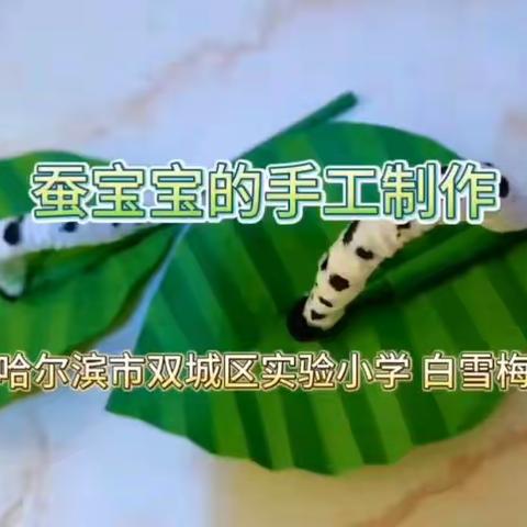 蚕宝宝手工制作              ——劳动课课例    哈尔滨市双城区实验小学校 白雪梅