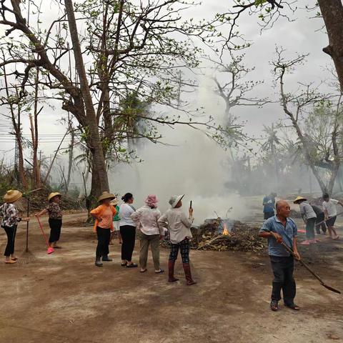 文昌市翁田镇茂山村委会开展人居环境整治活动