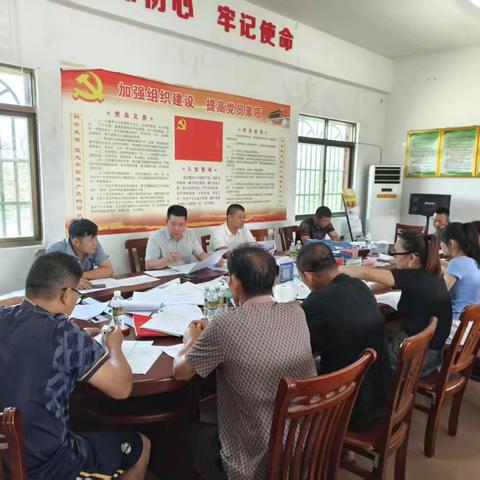 茂山村委会开展爱国卫生运动