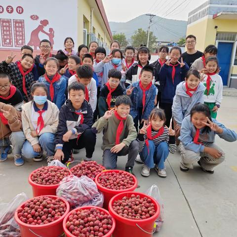 小小山楂，红出别样校园——火石营镇火西小学采摘山楂研学活动