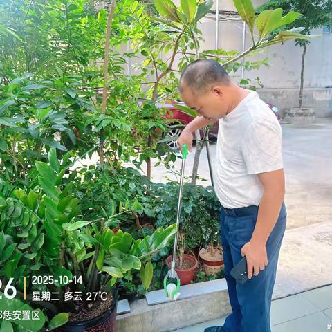 那大镇那恁村委会开展“清洁家园 防蚊灭蚊”防控基孔肯雅热、登革热等病毒专项行动