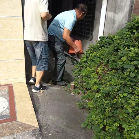 那大镇那恁村委会开展“清洁家园 防蚊灭蚊”防控基孔肯雅热、登革热等病毒专项行动