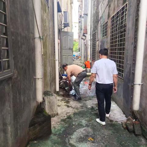 那大镇那恁村委会开展“清洁家园 防蚊灭蚊”防控基孔肯雅热、登革热等病毒专项行动