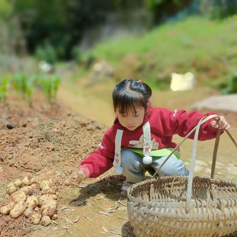 假日寻美，精彩一“夏” ―― 石码头小学2206班暑假生活